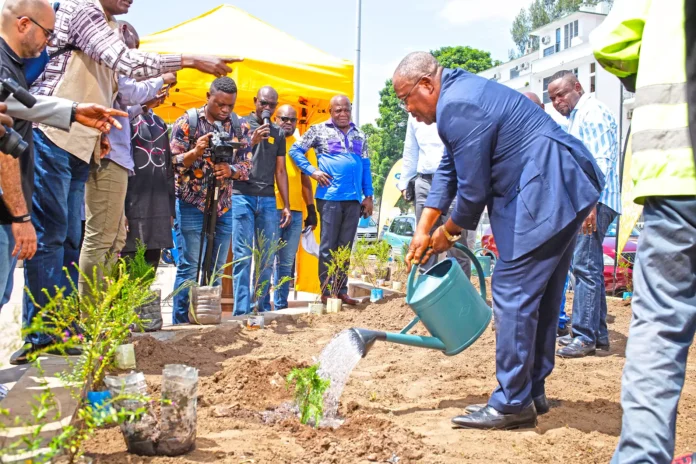 Le premier sécretaire du Conseil départemental et municipal de Brazzaville arrosant un plant nouvellement planté