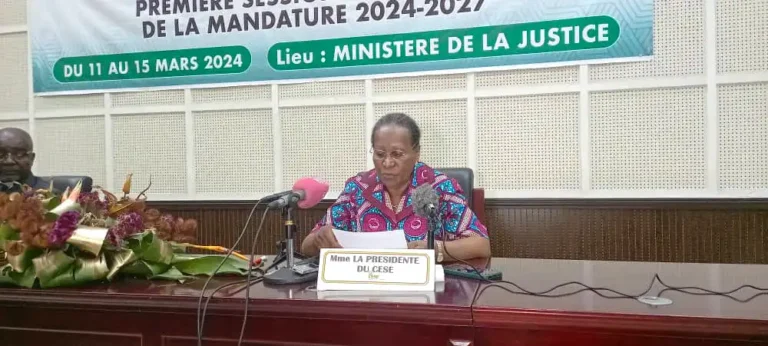 Conseil économique, social et environnemental (CESE) : Mme Emilienne veut stabiliser cette institution Conseil économique, social et environnemental (CESE) : Mme Emilienne veut stabiliser cette institution