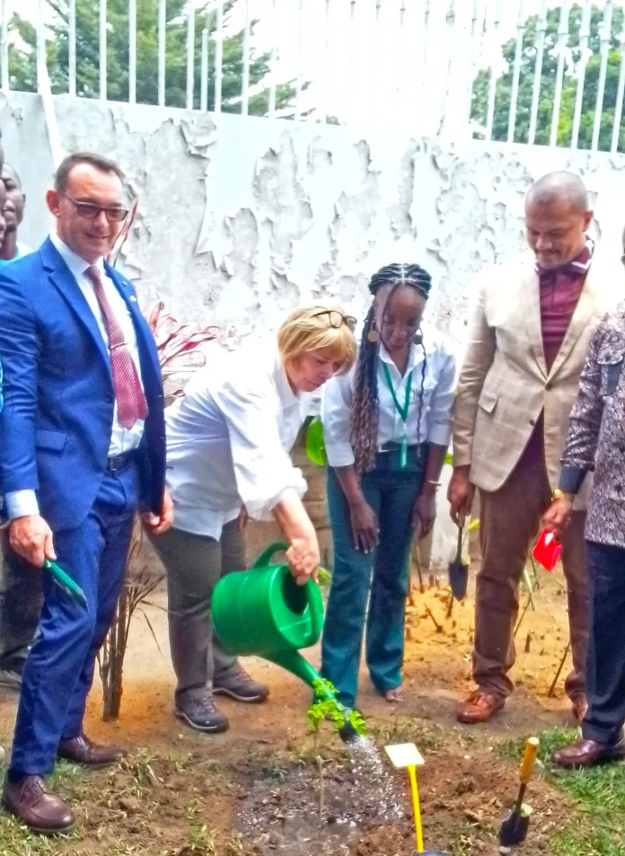Mme Claire Bodonyi arrosant son plant