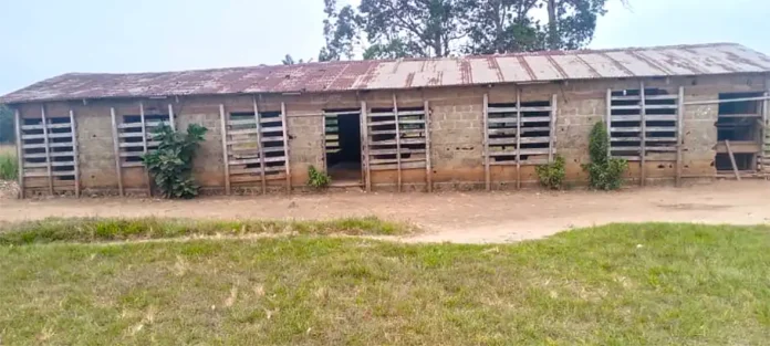 ecole