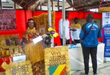 FESTI LOANGO : Quand le numérique valorise le patrimoine du Royaume de Loango
