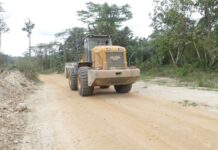 BASSIN DU CONGO : La superposition d’usage, une bombe à retardement: cas du Mayombe et du Chaillu