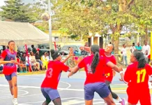 HANDBALL : Le grand test de Pointe-Noire en ligne de mire