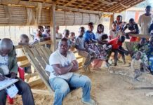 GOUVERNANCE FORESTIERE DANS LE NIARI : Le village Kola meurt de soif !